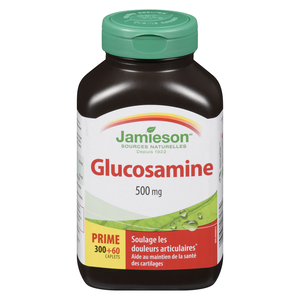 JAMI GLUCOSAMINE 500MG CA 360