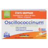 OSCILLOCOCCINUM 1G     DOSES 6