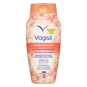 VAGISIL NETT FEM FL/PECHE 360ML